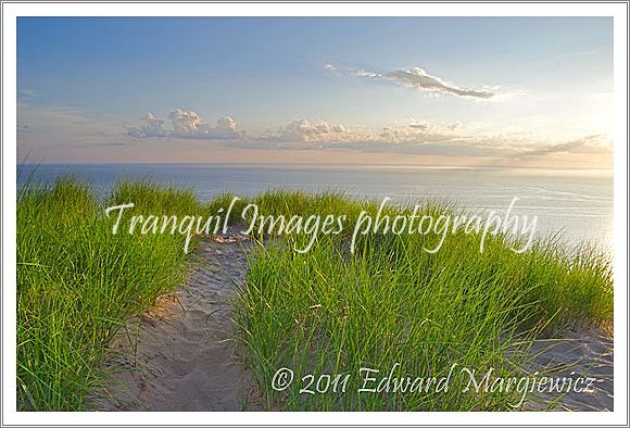 D000111 Dune grass and Lake Michigan